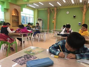 上海教育培训新风向 职业技能培训成热门趋势，8684网助力企业精准导航