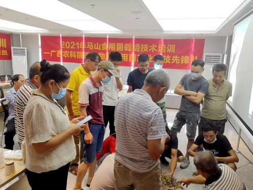 我为群众办实事 交投凯通公司开展助民就业创业技能培训